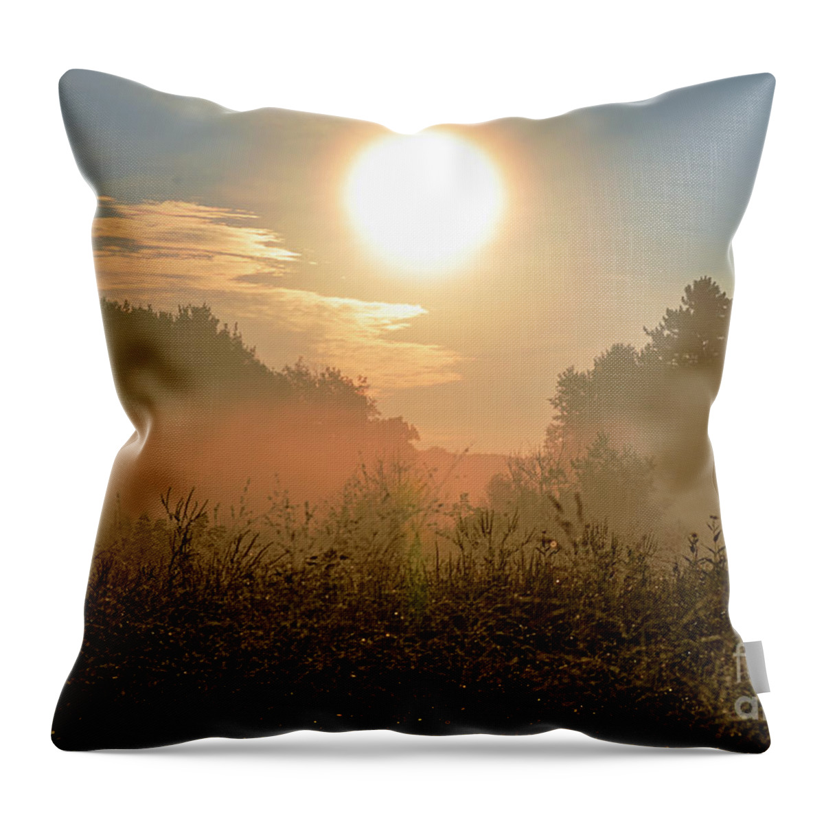 Color Photography Throw Pillow featuring the photograph Sunny Side Up by Sue Stefanowicz