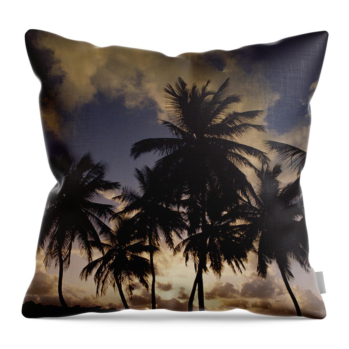 Mp Throw Pillow featuring the photograph Sunrise At La Sagesse Bay Over Marquis by Gerry Ellis