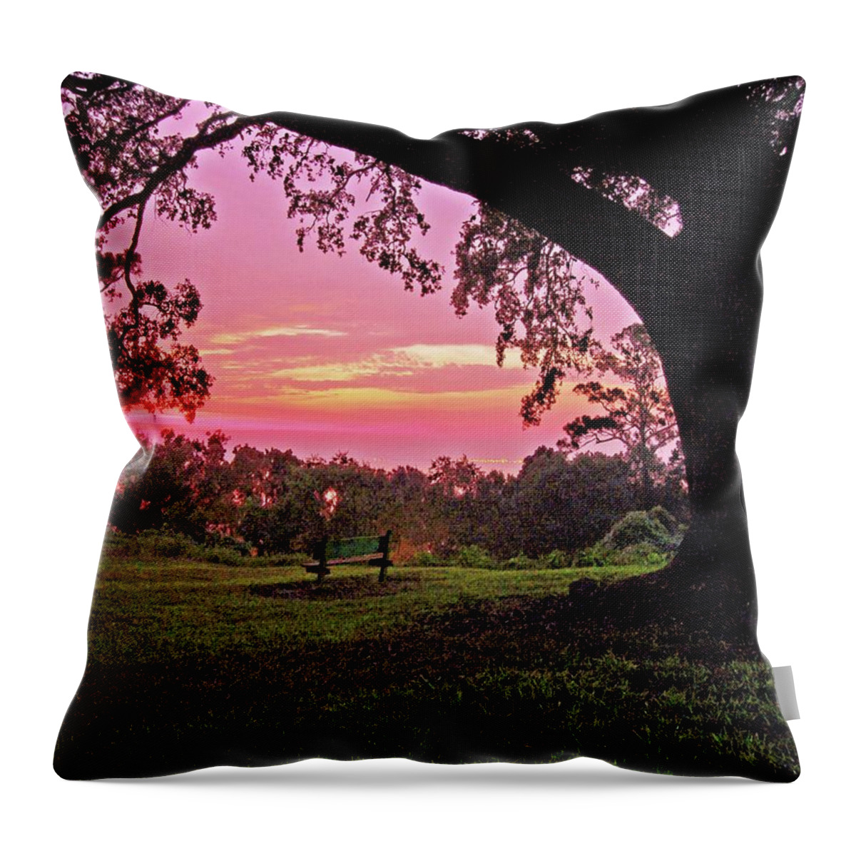 Alabama Photographer Throw Pillow featuring the digital art Sunset on the Bench by Michael Thomas