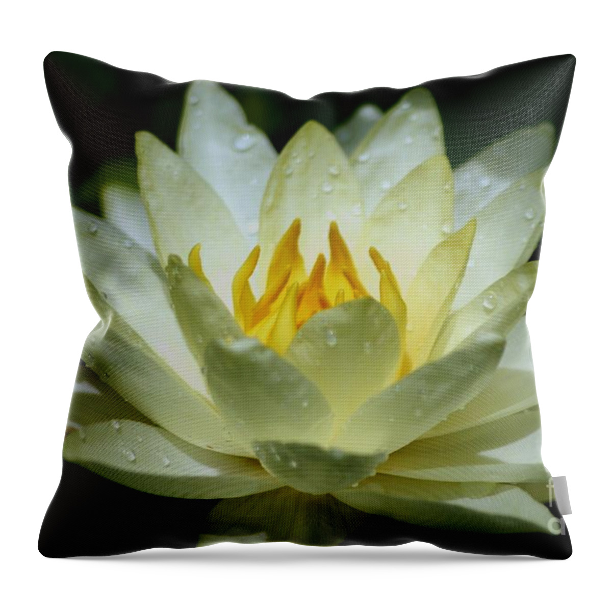 Floral Throw Pillow featuring the photograph Sunshine Water Lily by Living Color Photography Lorraine Lynch
