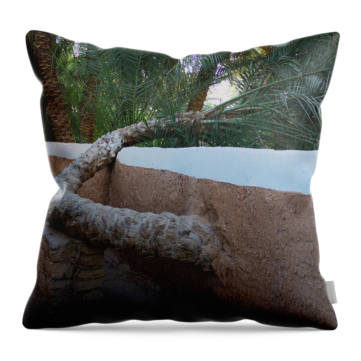 Palm Throw Pillow featuring the photograph Support by Ivan Slosar