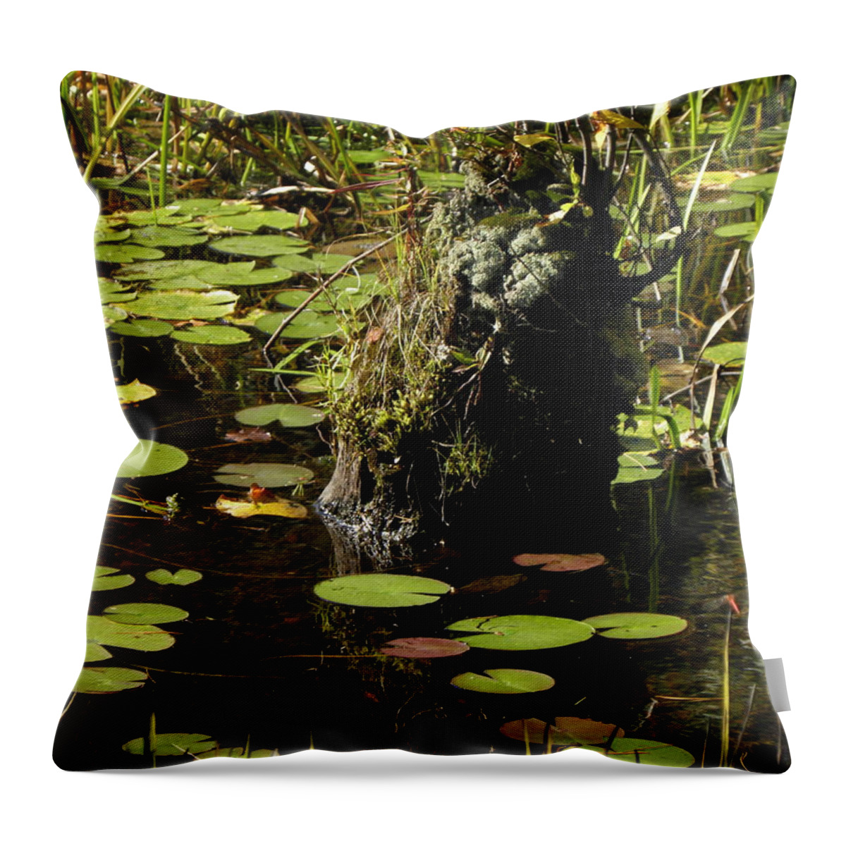 Stump Throw Pillow featuring the photograph Surrounded By Lily Pads by Kim Galluzzo