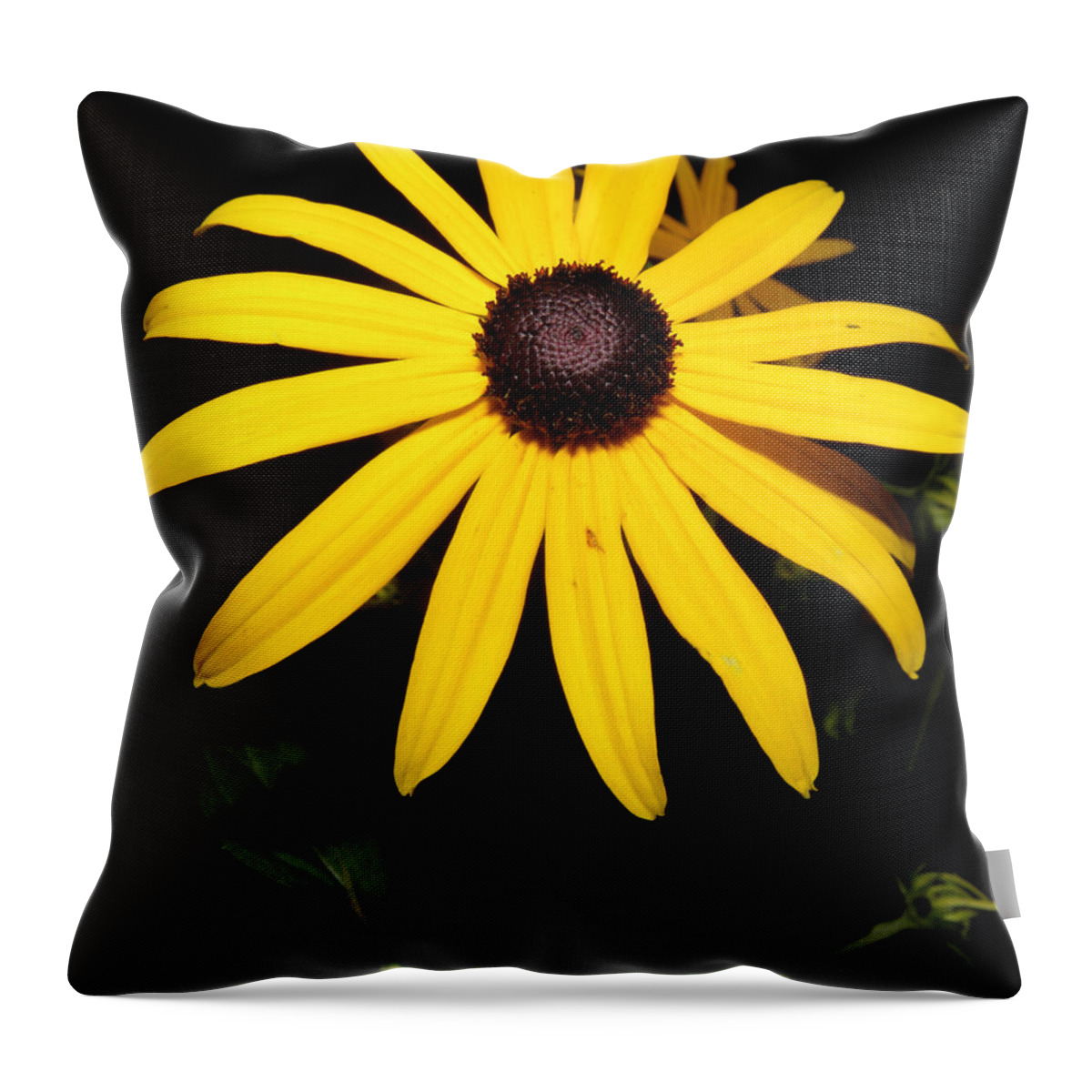 Flower Throw Pillow featuring the photograph Suzy at night by Kim Galluzzo