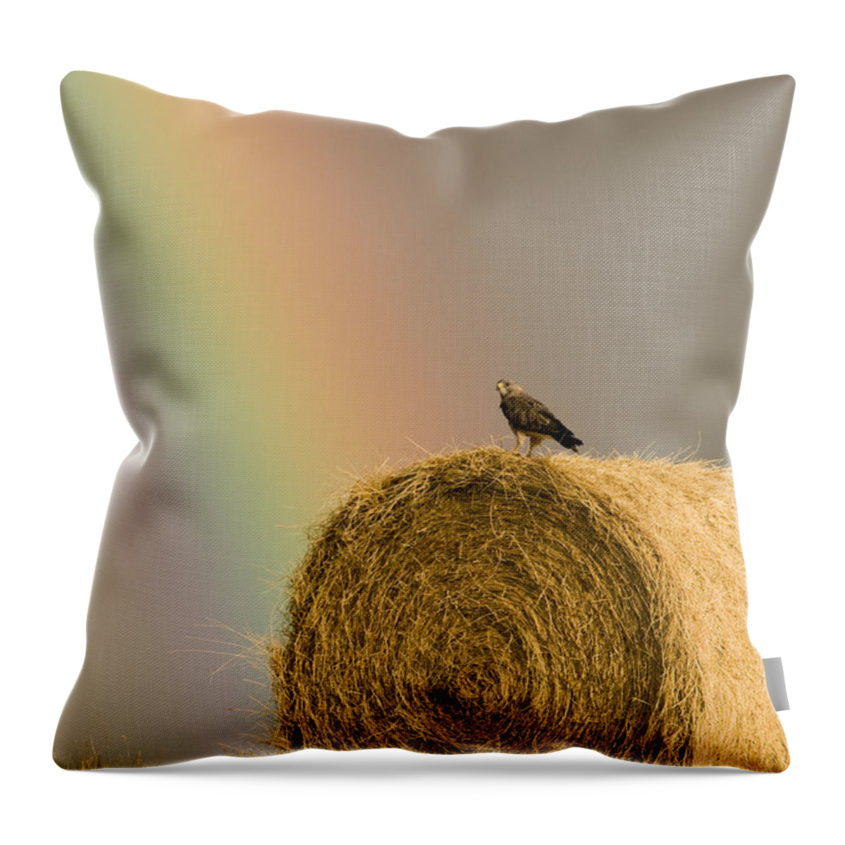 Hawk Throw Pillow featuring the photograph Swainson Hawks on Hay Bale by Mark Duffy