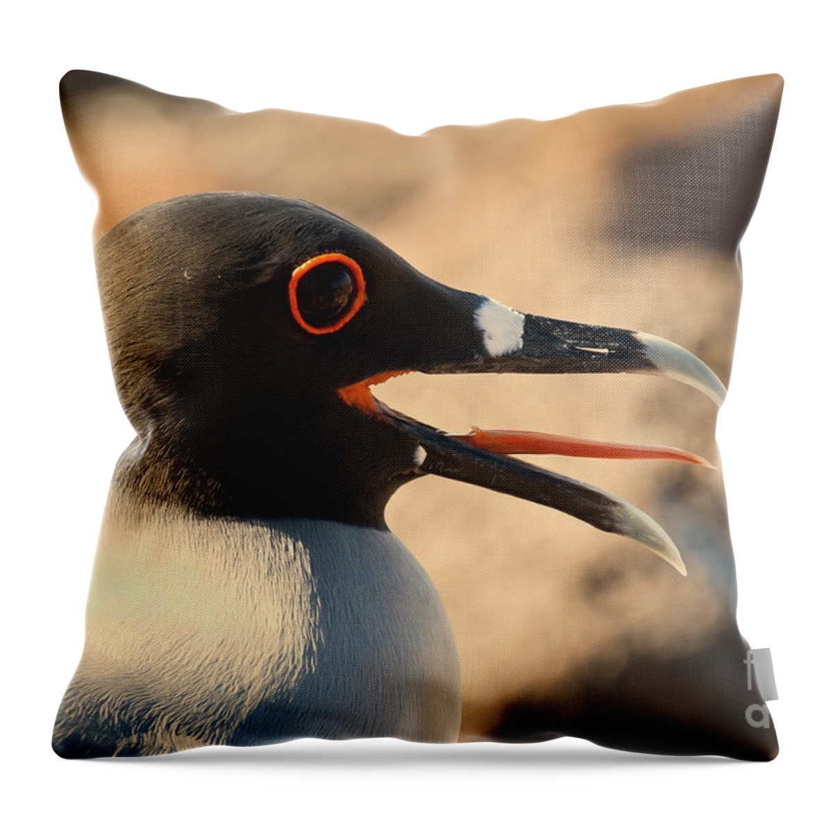 Animal Throw Pillow featuring the photograph Swallow-tailed Gull by Jean-Luc Baron