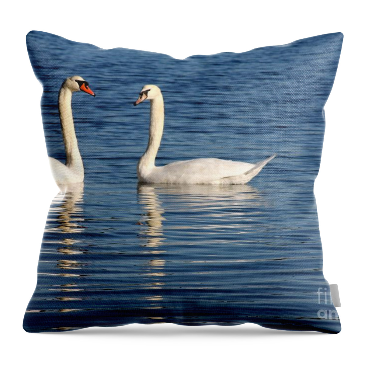 Swans Throw Pillow featuring the photograph Swan Mates by Sabrina L Ryan