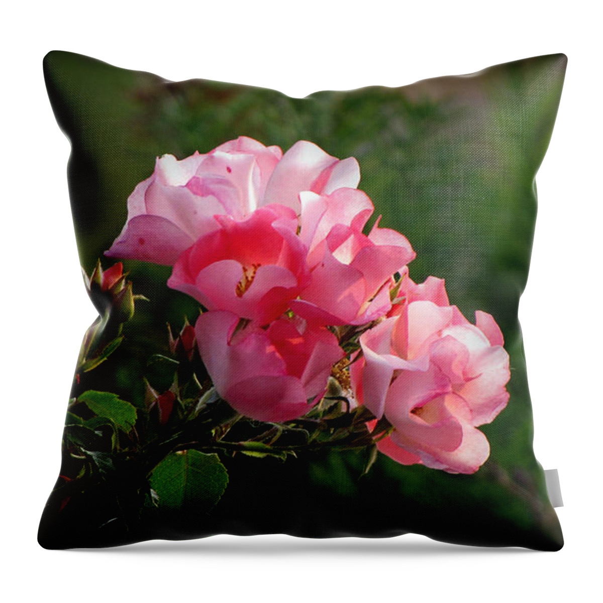 Floral Throw Pillow featuring the photograph Sweet Blossom Mini Roses by Ms Judi
