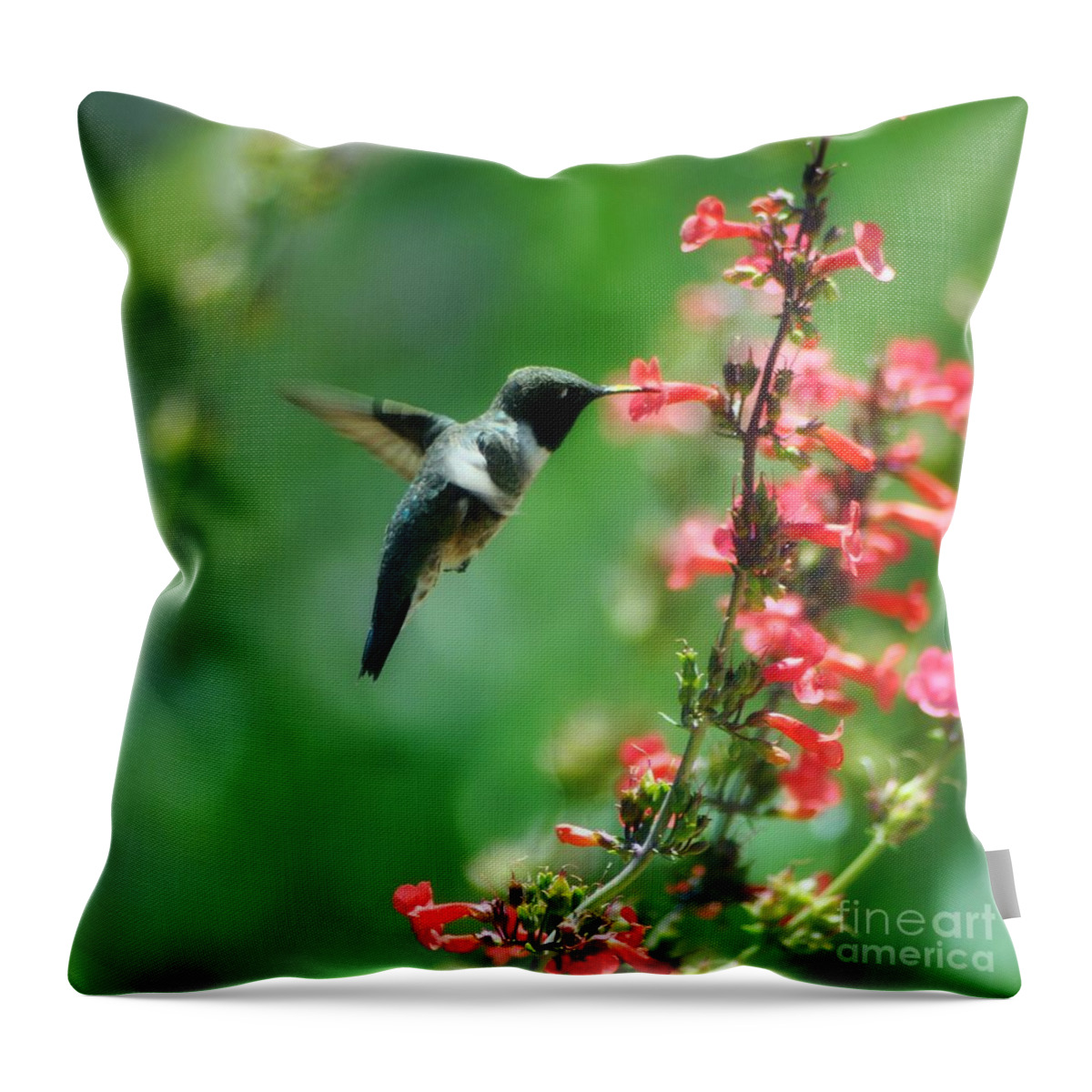 May Throw Pillow featuring the photograph Sweet May by Lisa Argyropoulos