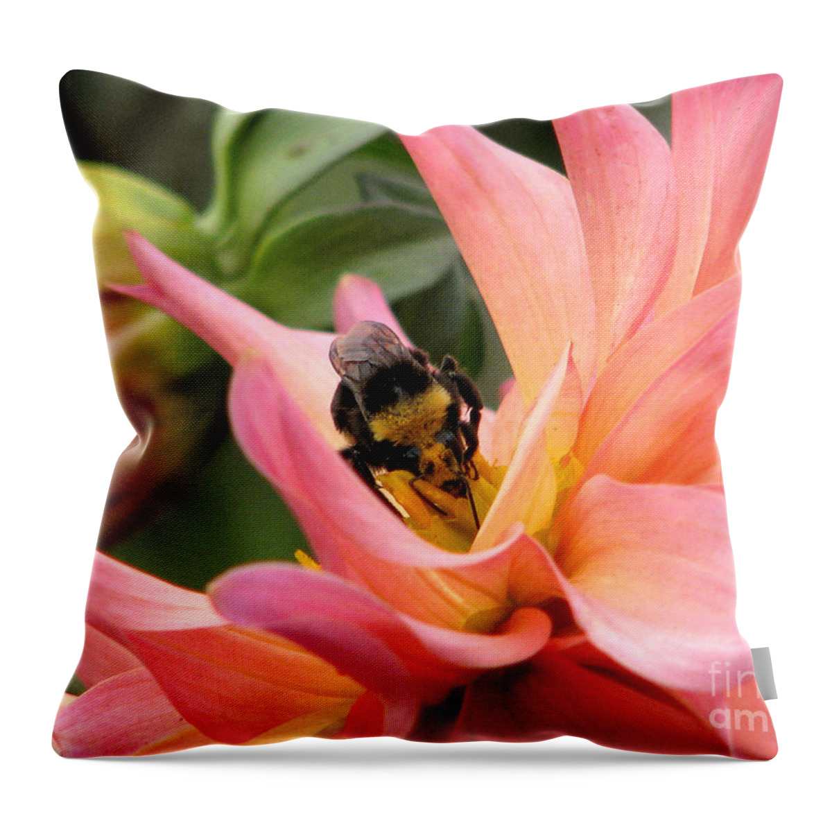 Flower Throw Pillow featuring the photograph Sweet Nectar by Rory Siegel