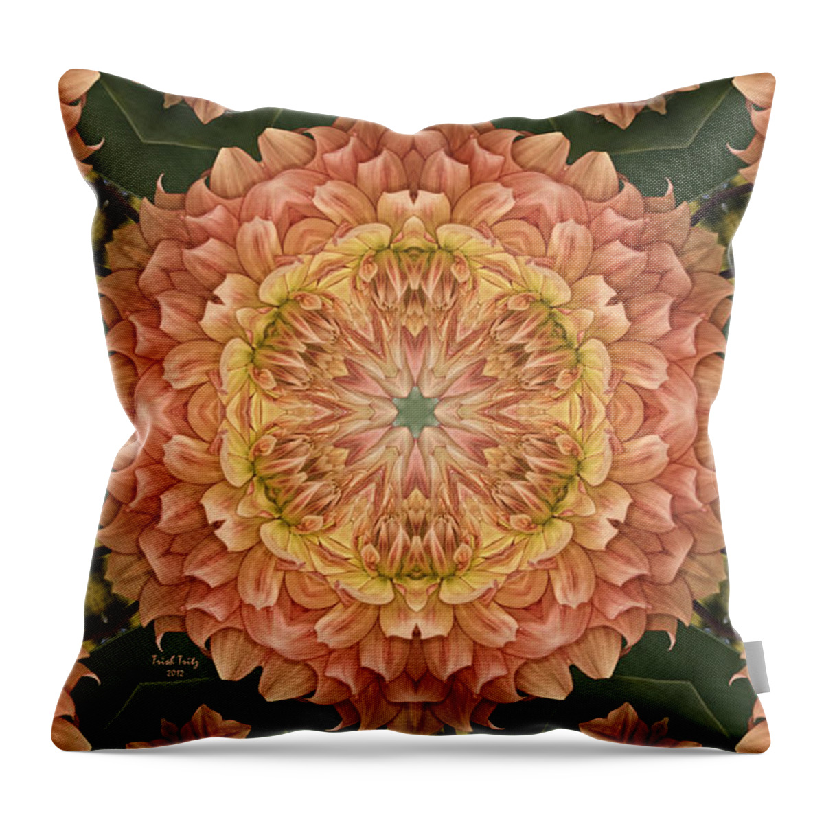 Flower Throw Pillow featuring the photograph Sweet Peaches by Trish Tritz