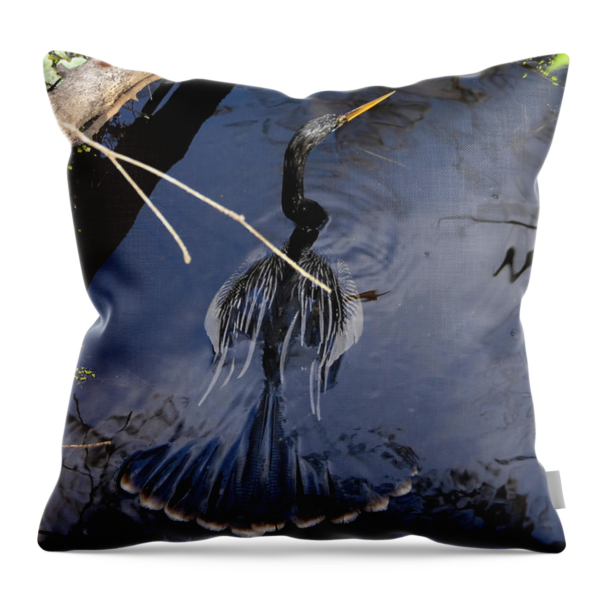 Wildlife Photography Throw Pillow featuring the photograph Swimming bird by David Lee Thompson