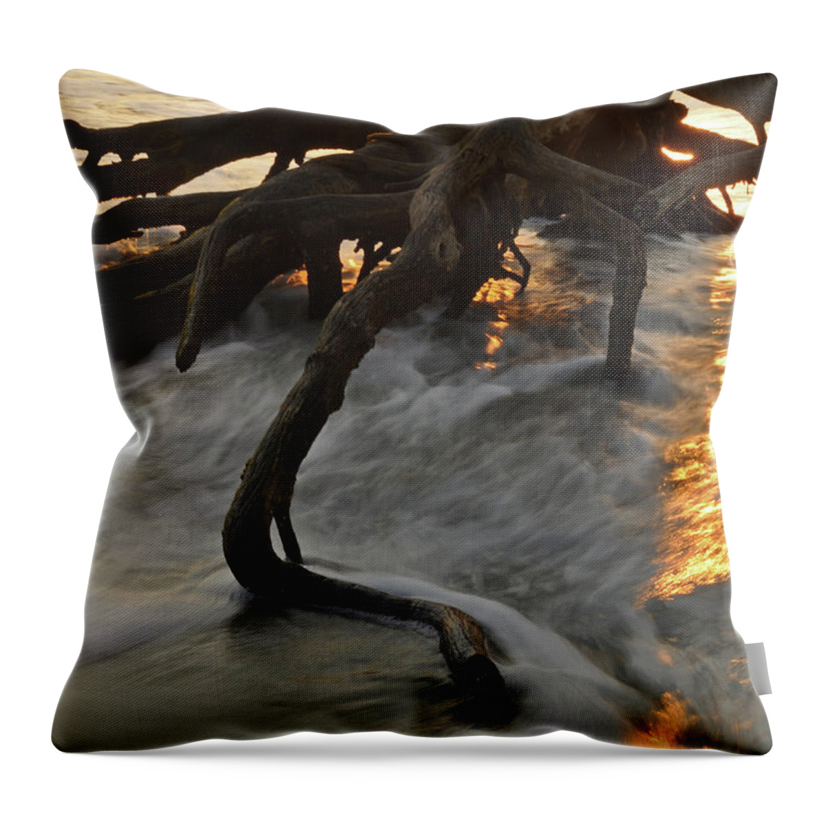 Beach Throw Pillow featuring the photograph Swirling Sunrise on Jekyll Island by Bruce Gourley