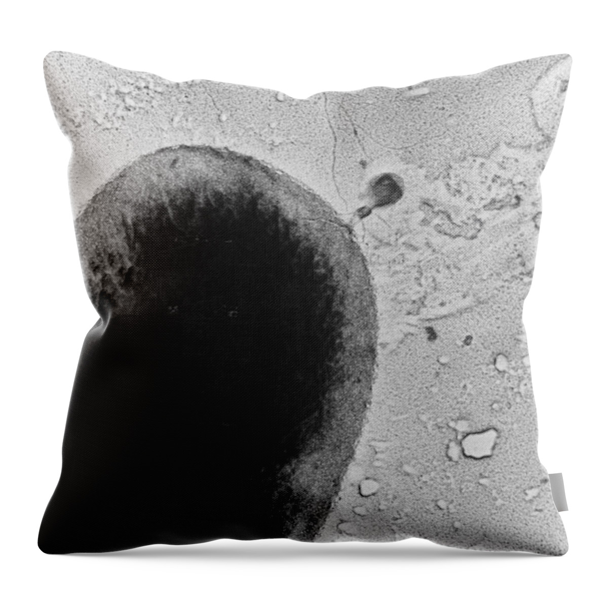 Science Throw Pillow featuring the photograph T4 Bacteriophage by Science Source