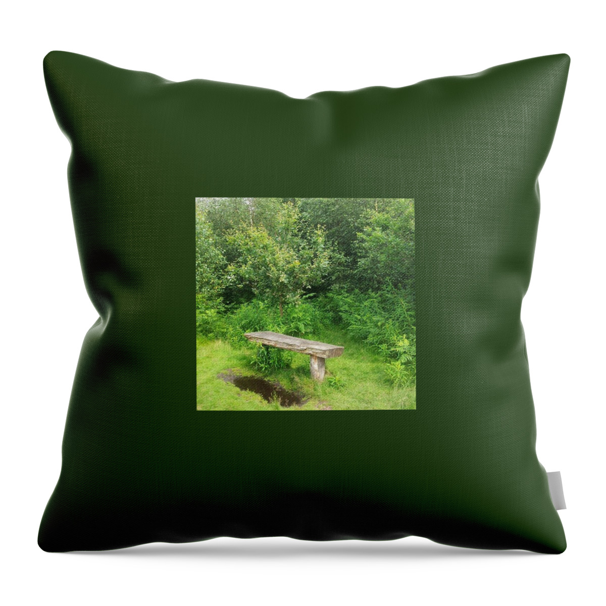  Throw Pillow featuring the photograph Take A Rest And Wash Your Feet by Abbie Shores