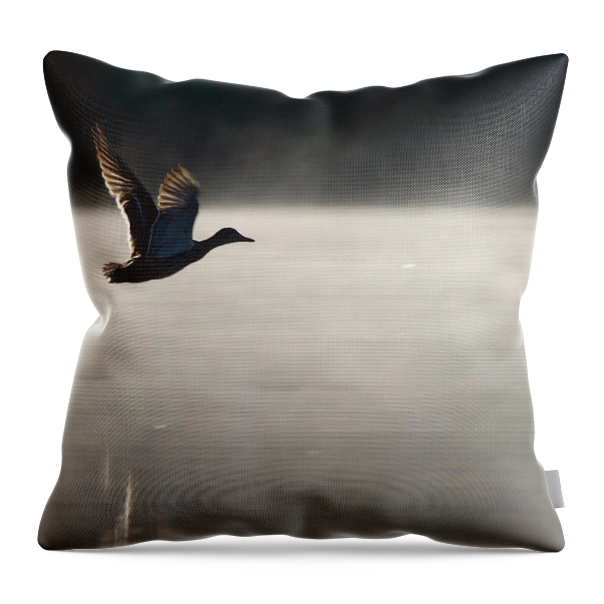 Fog Throw Pillow featuring the photograph Taking Flight by Dan Wells