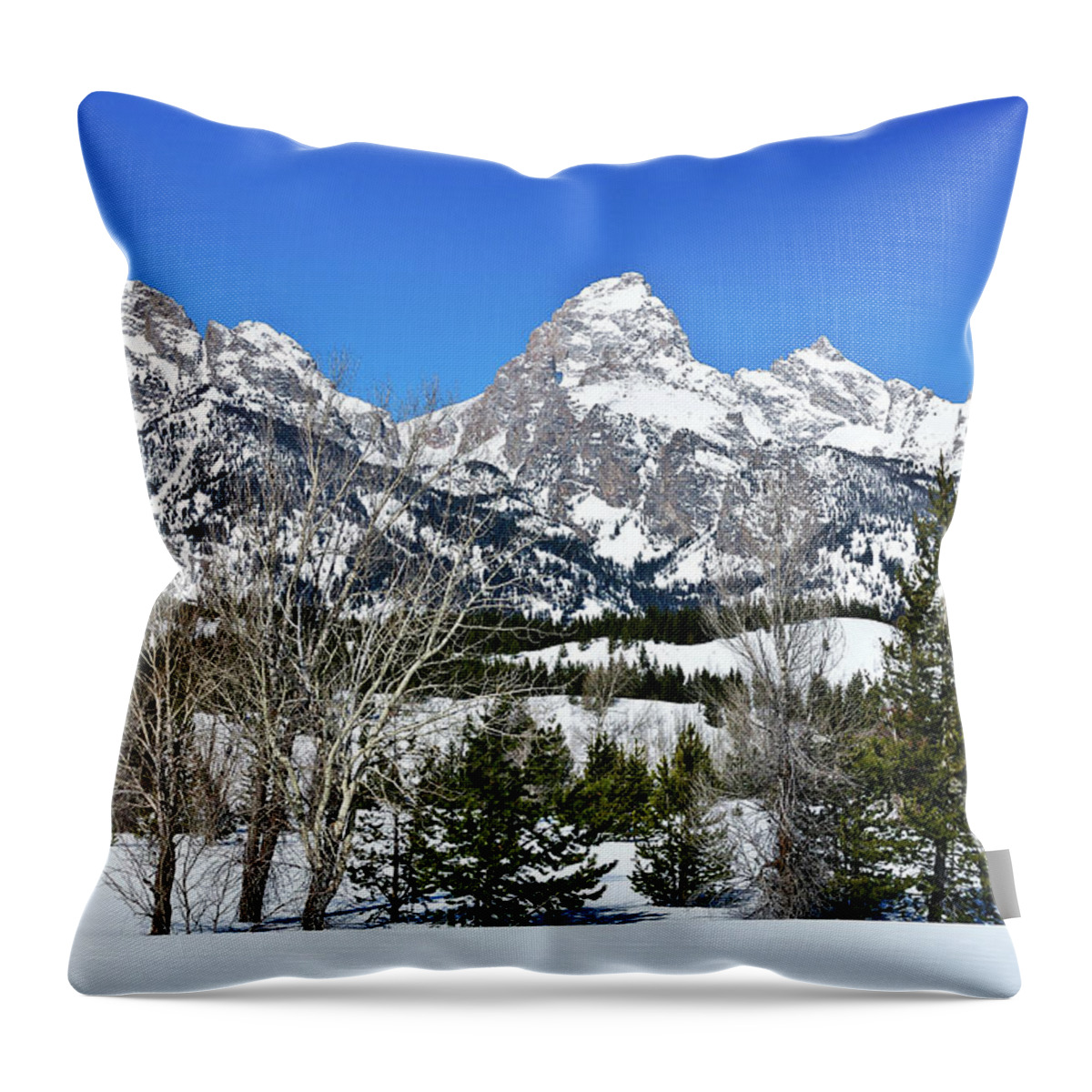 Grand Teton National Park Throw Pillow featuring the photograph Teton Winter Landscape by Greg Norrell