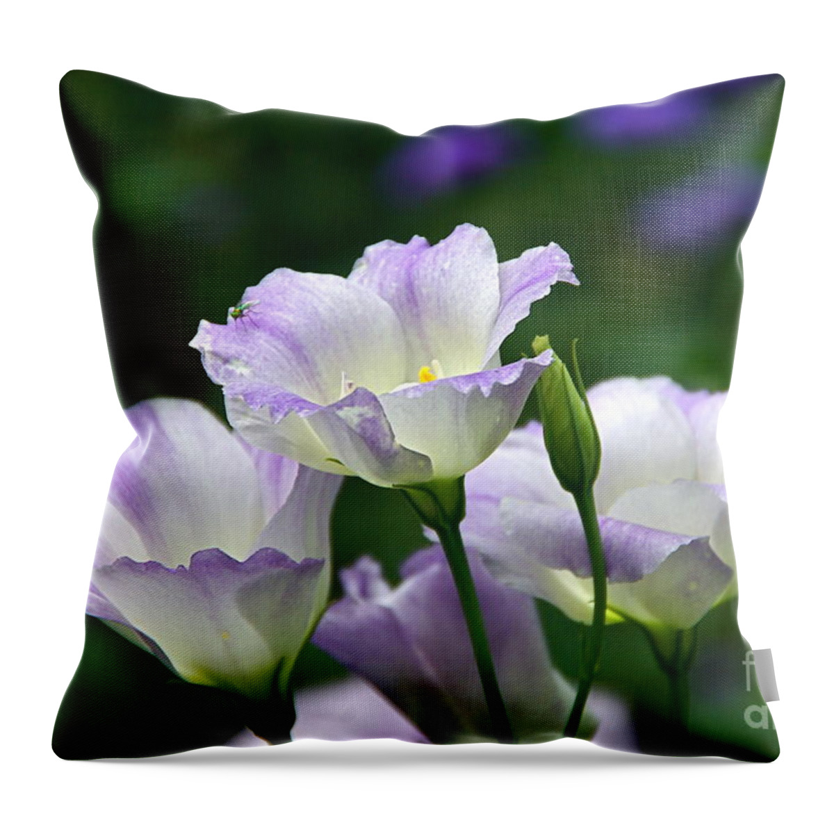 Lisianthus And Turquoise Hoverfly Throw Pillow featuring the photograph Texas Bluebell And Turquoise Visitor by Byron Varvarigos