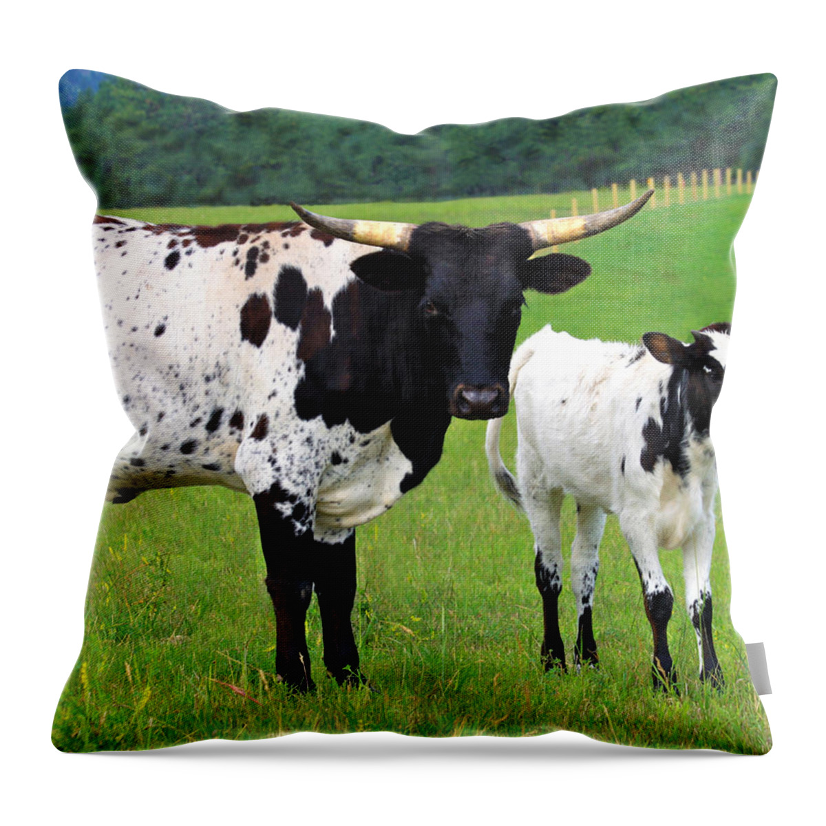 Texas Throw Pillow featuring the photograph Texas Longhorn Cow and Calf by Karon Melillo DeVega