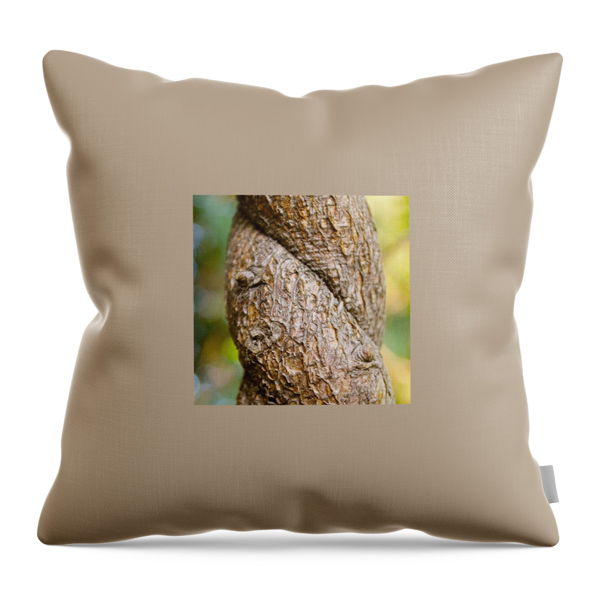 Tree Throw Pillow featuring the photograph Tree Texture by Justin Connor