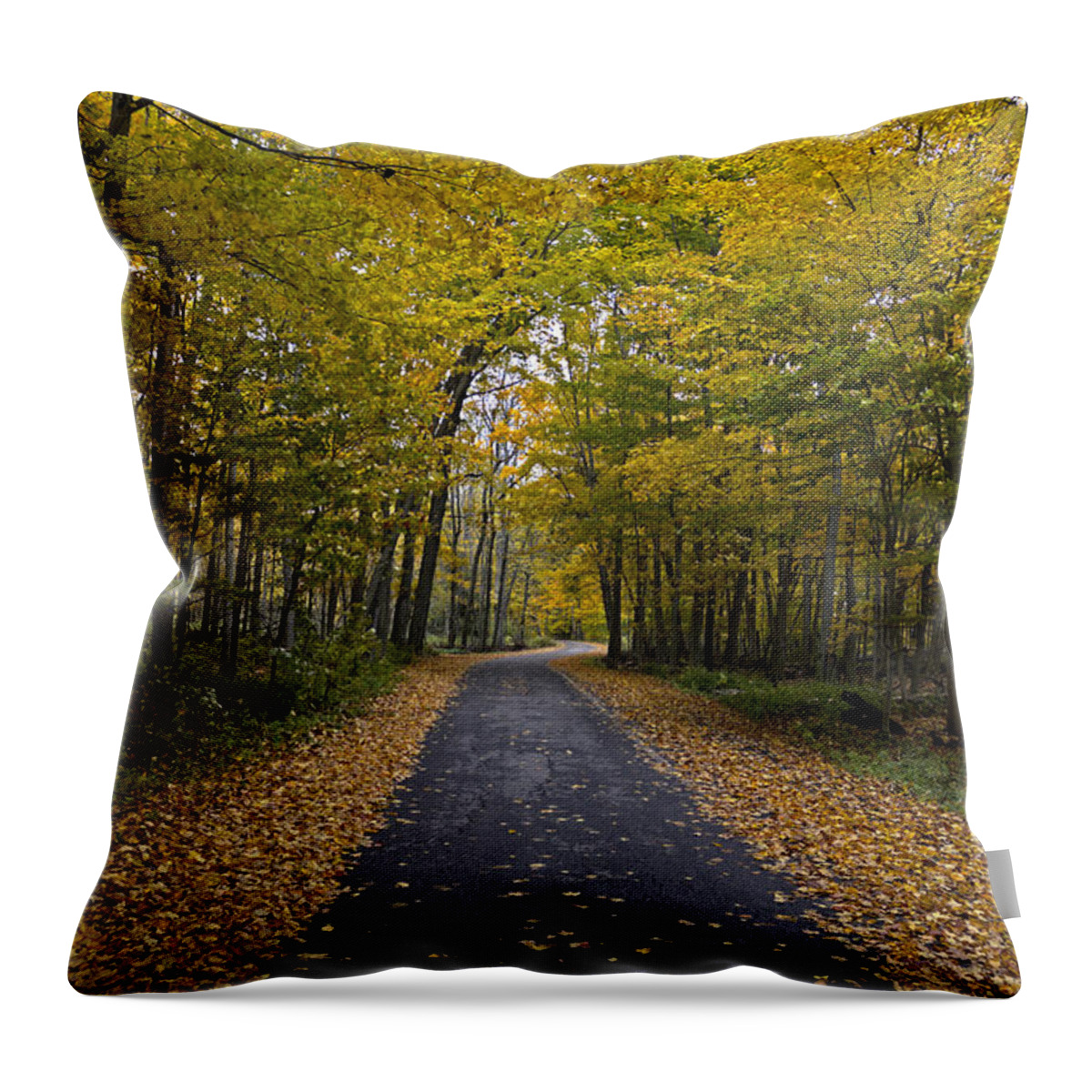 Autumn Throw Pillow featuring the photograph The Autumn Path by Gord Patterson