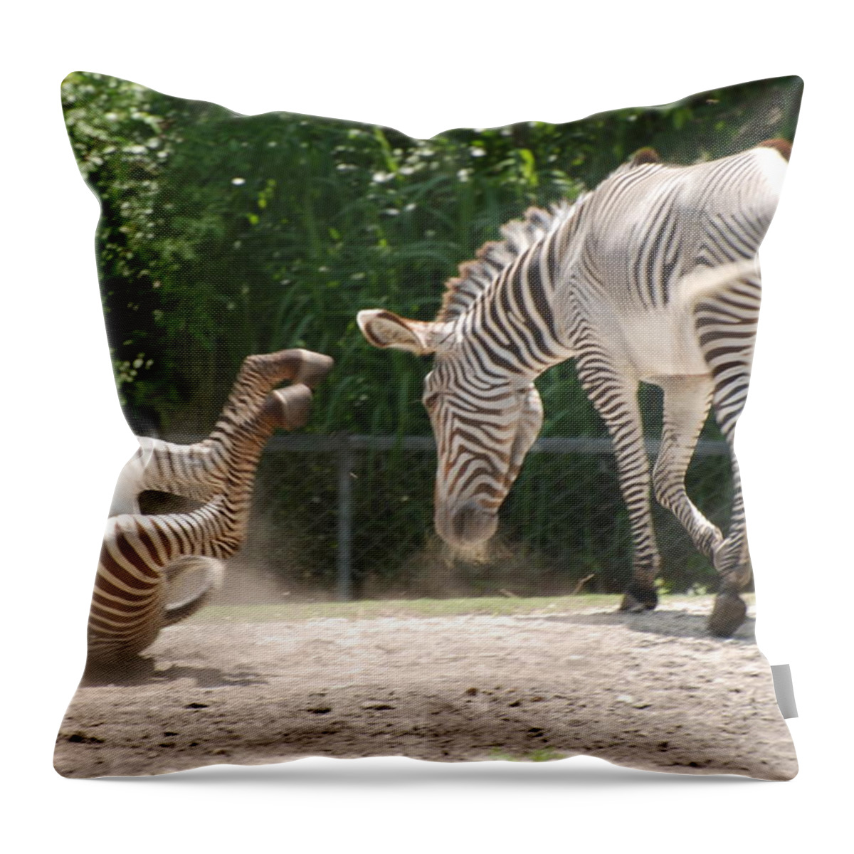 Animal Throw Pillow featuring the photograph The Back End by Rob Hans