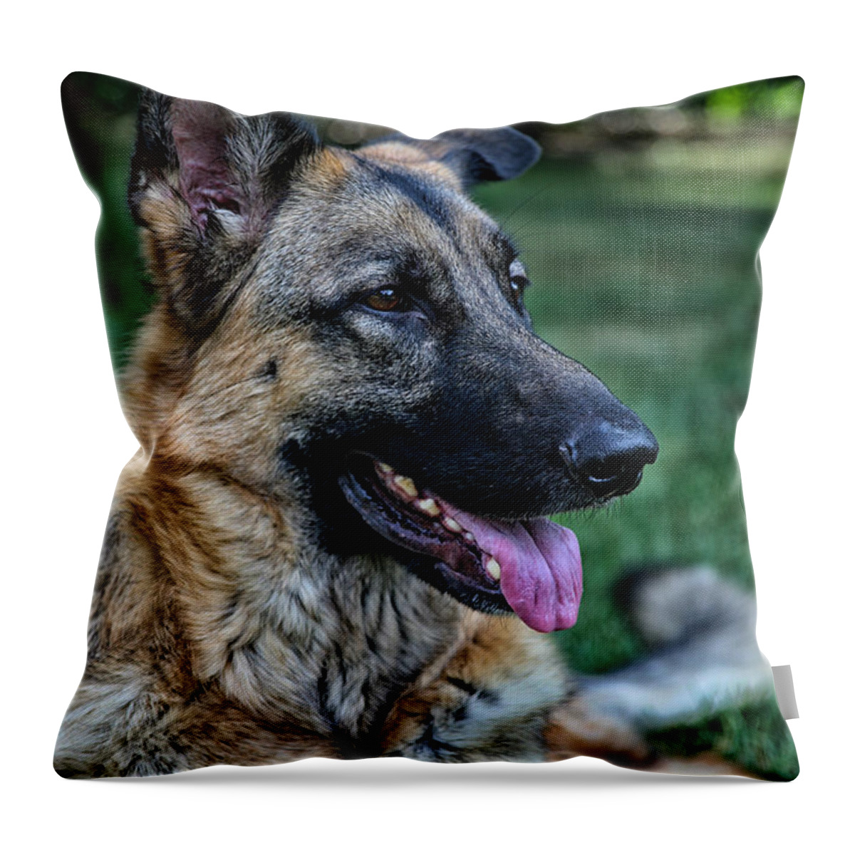 Dog Throw Pillow featuring the photograph The Baron by Karol Livote