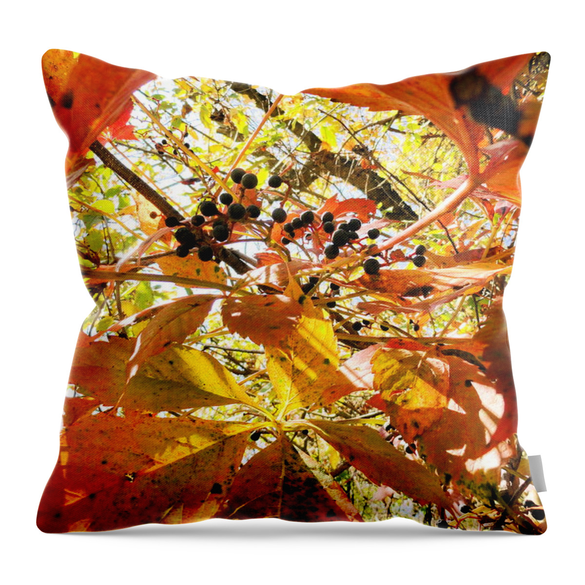 Leaves Throw Pillow featuring the photograph The Beauty In Dying by Trish Hale