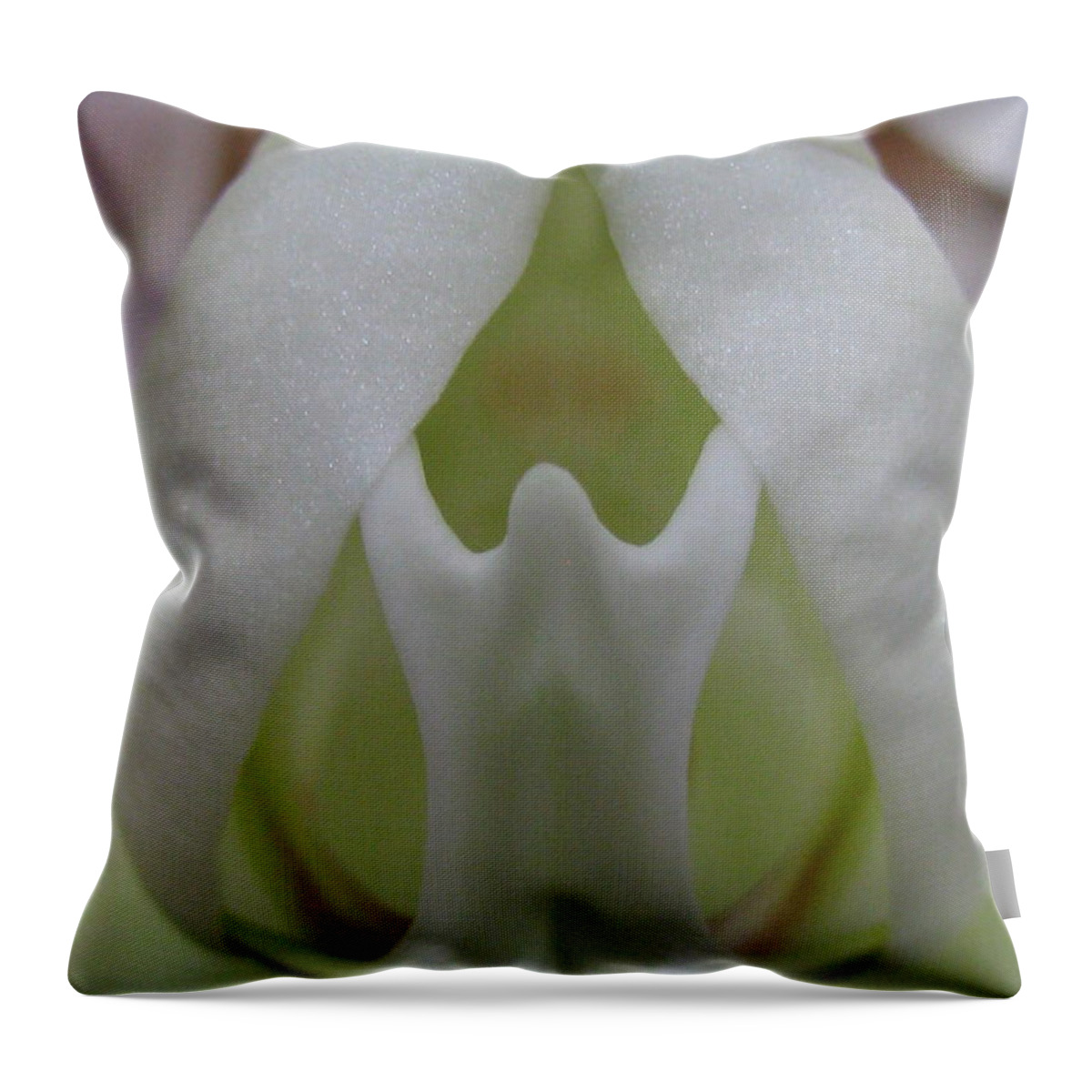 Flower Throw Pillow featuring the photograph The Beginning Photography by Holy Hands