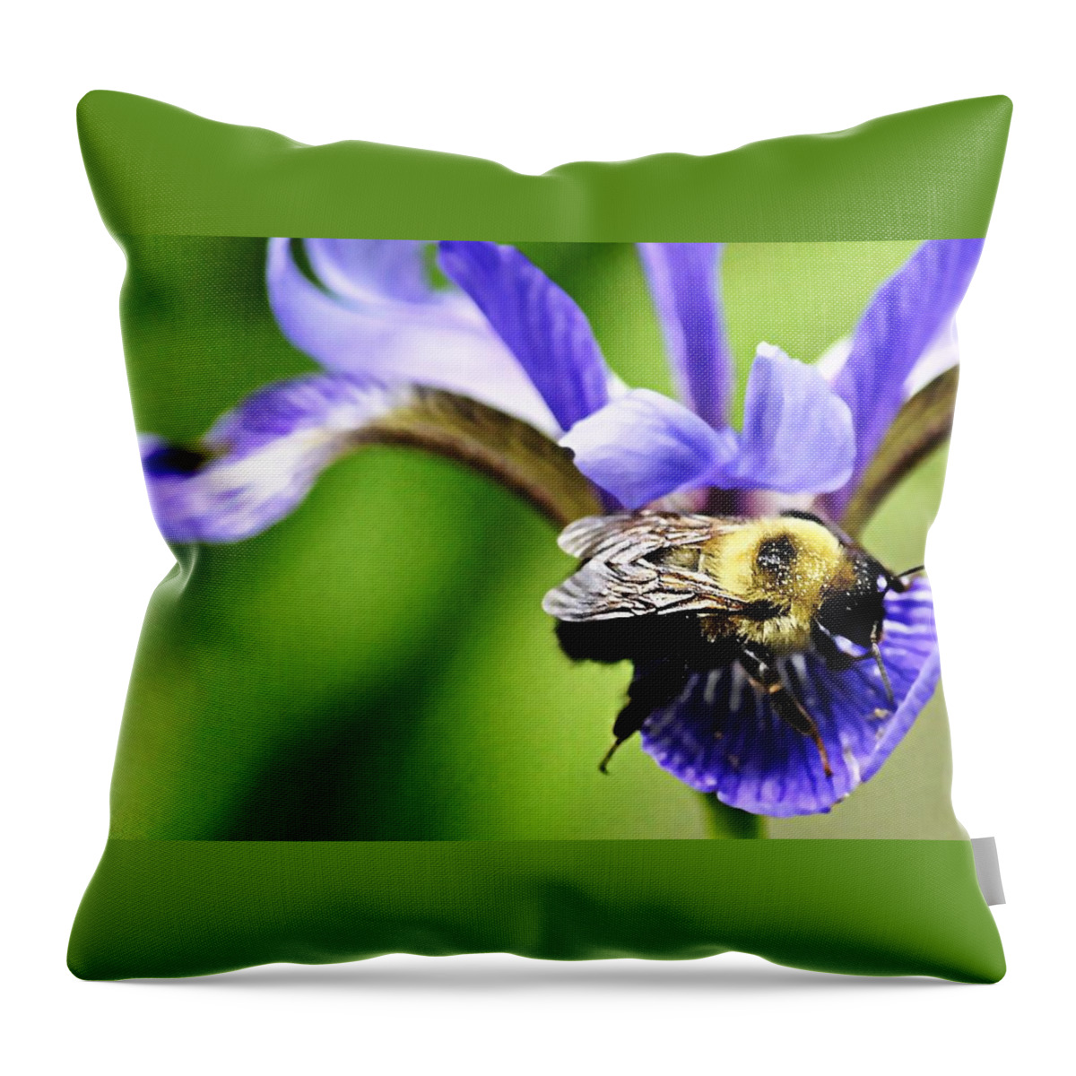 Bumble Bee With Pollen Throw Pillow featuring the photograph Bumble Bee with pollen and Iris flower by Marysue Ryan