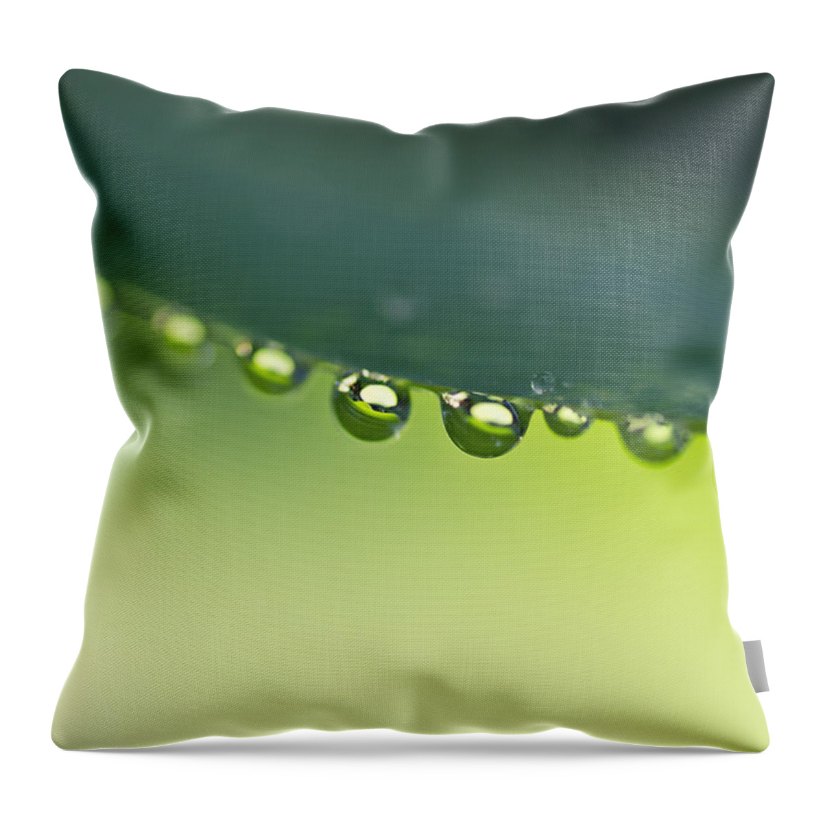 Drops Throw Pillow featuring the photograph The Edge I by Priya Ghose
