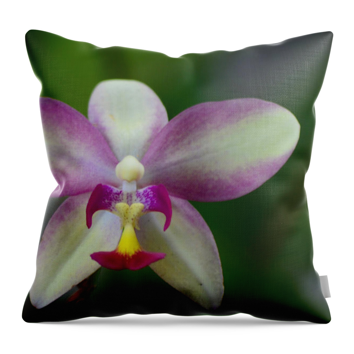 Orchid Throw Pillow featuring the photograph The Edison Orchid by Melanie Moraga