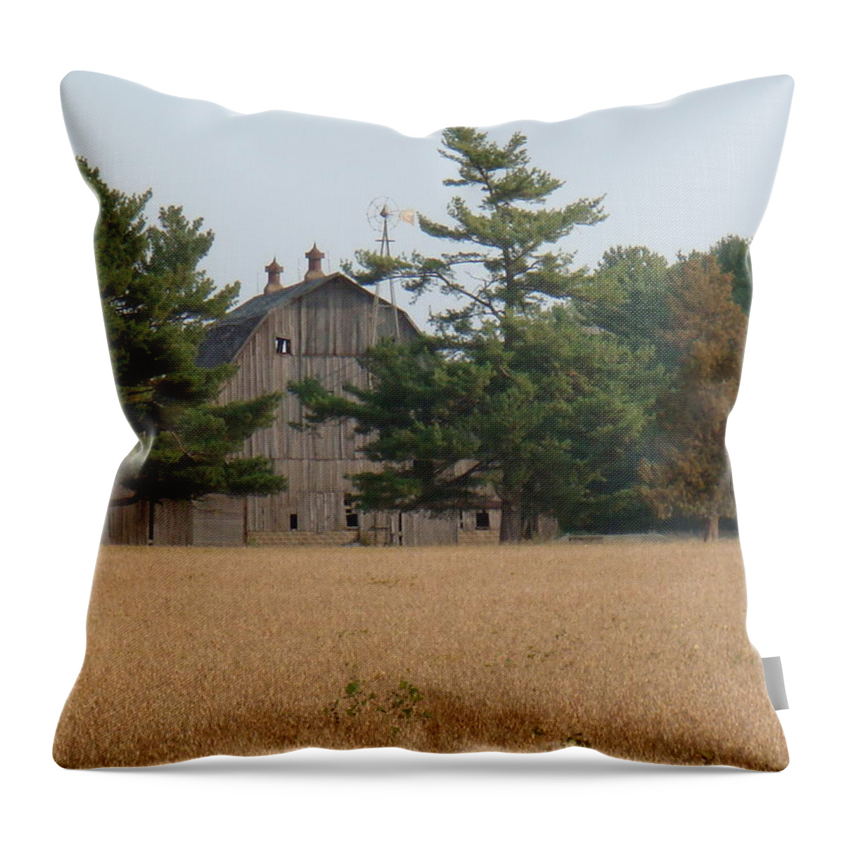 Barn Throw Pillow featuring the photograph The Farm by Bonfire Photography