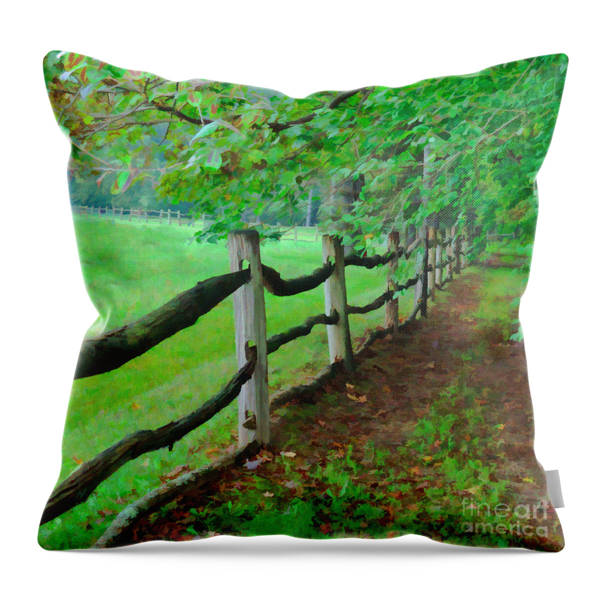 Old Wood Rail Fence Throw Pillow featuring the digital art The Fence Path by L J Oakes