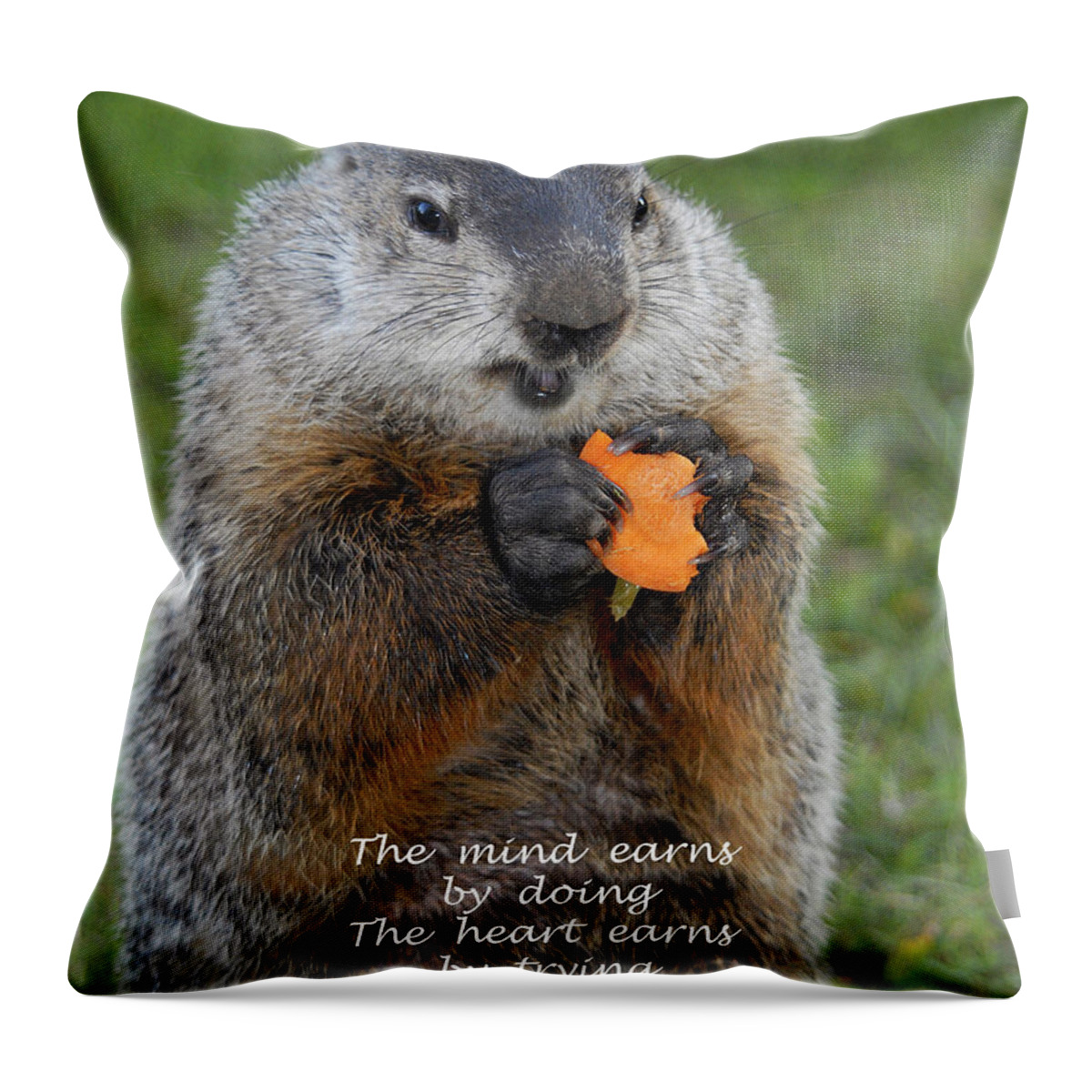 Sayings Throw Pillow featuring the photograph The heart earns by trying by Paul W Faust - Impressions of Light