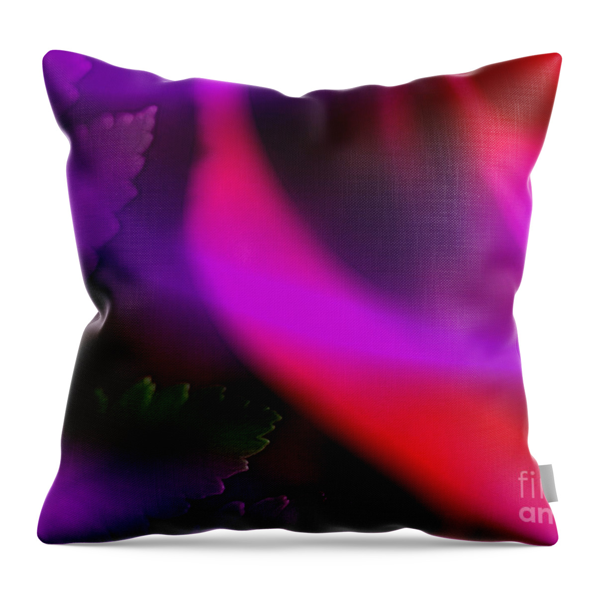 Leaf Throw Pillow featuring the photograph The Leaf and the Rose by Judi Bagwell