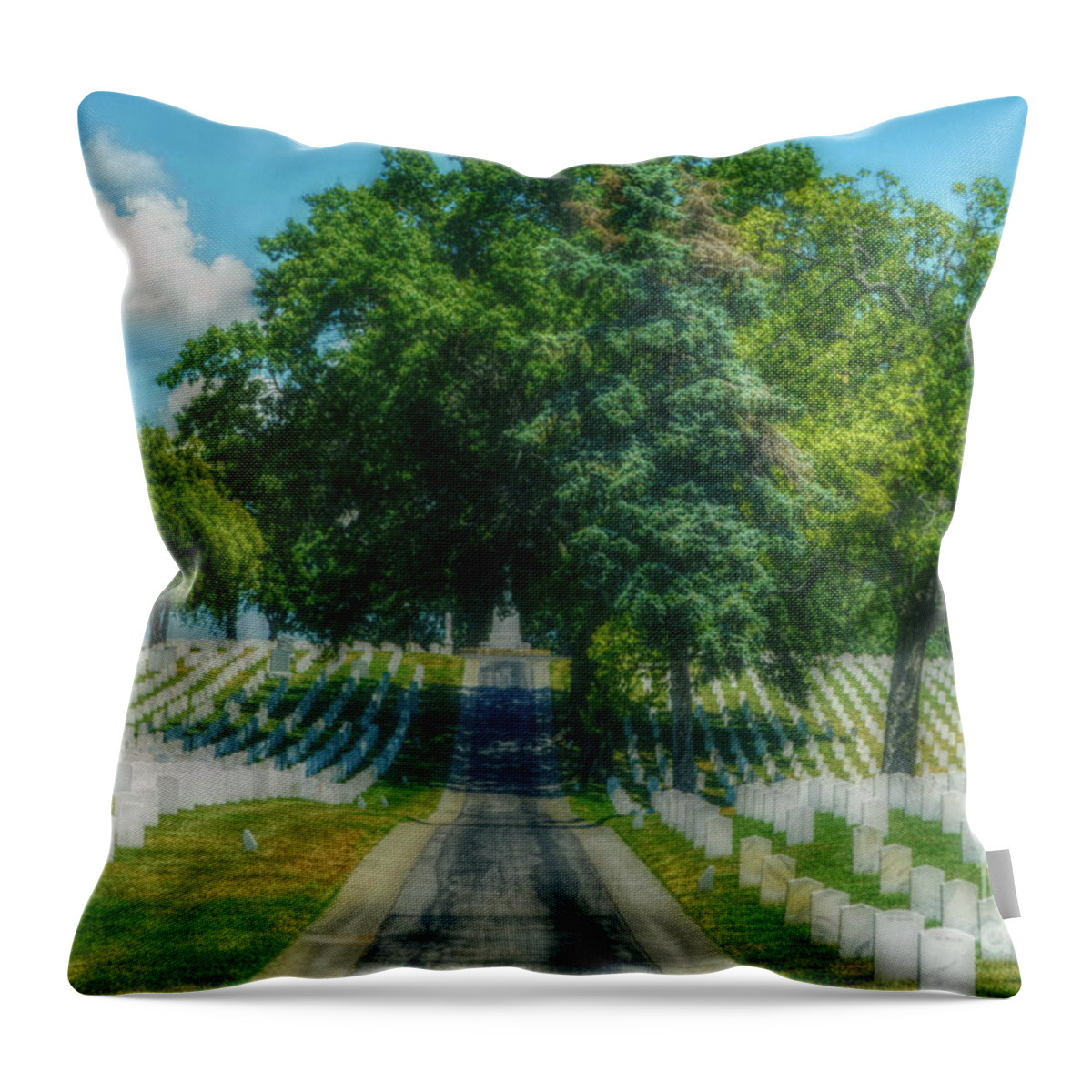 Landscape Throw Pillow featuring the photograph The Long Road Home by Peggy Franz