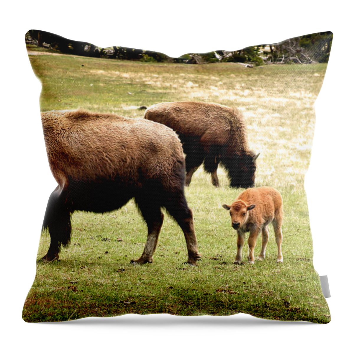 Bison Throw Pillow featuring the photograph The Mighty Bison by Ellen Heaverlo