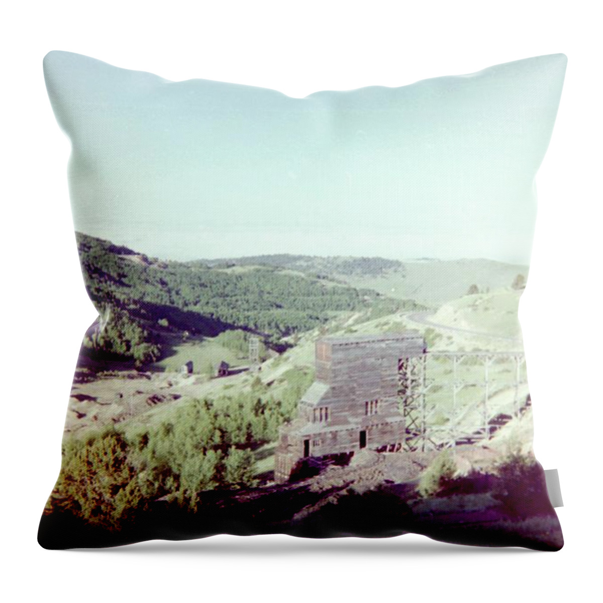 Gold Throw Pillow featuring the photograph The Mine by Bonfire Photography