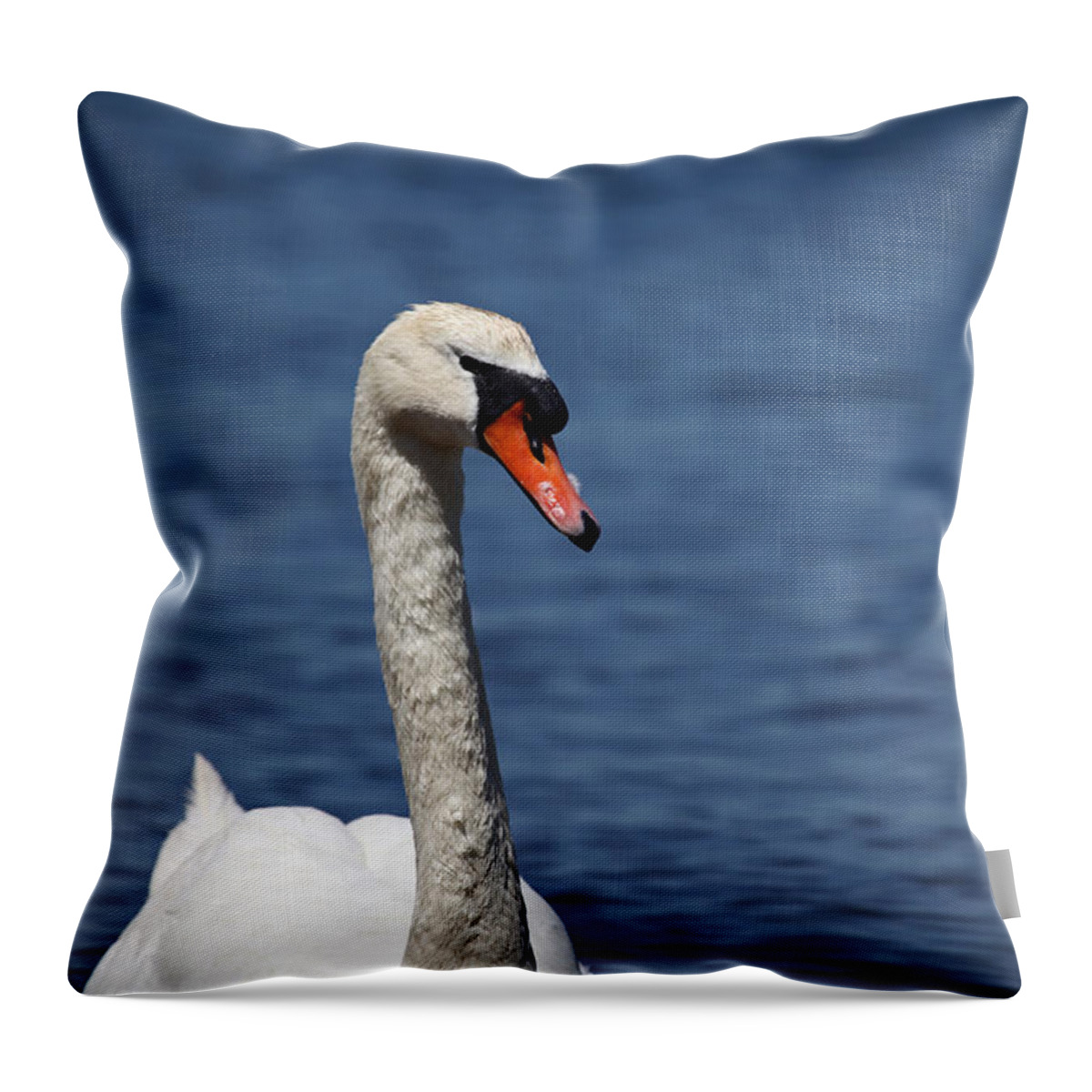 Swan Throw Pillow featuring the photograph The Mute Swan by Karol Livote