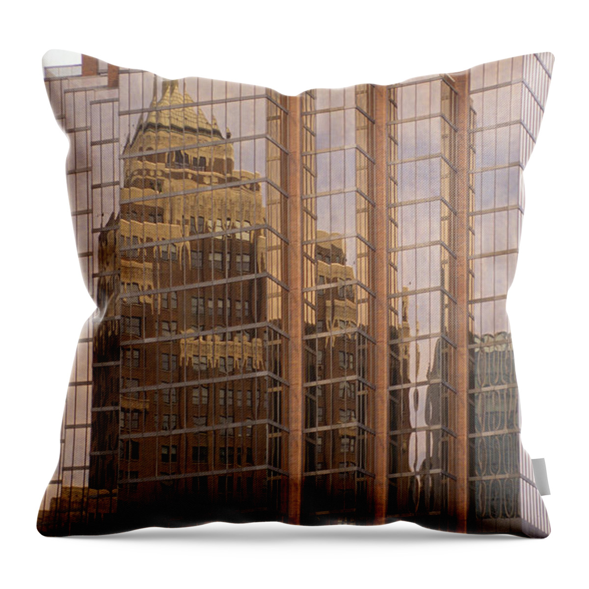 Bronstein Throw Pillow featuring the photograph The Old and The New by Sandra Bronstein