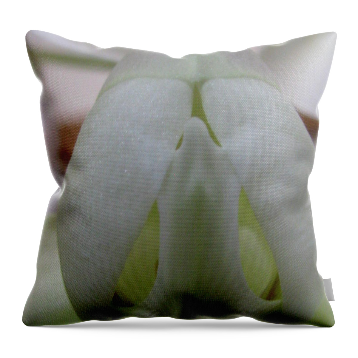 Flower Throw Pillow featuring the photograph The Origin Photography by Holy Hands