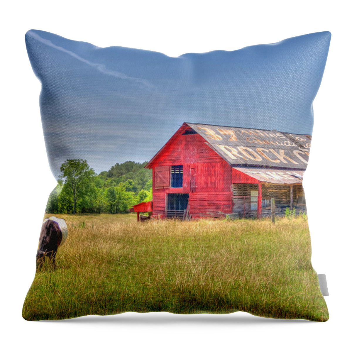 Pasture Throw Pillow featuring the photograph The Pasture by David Troxel