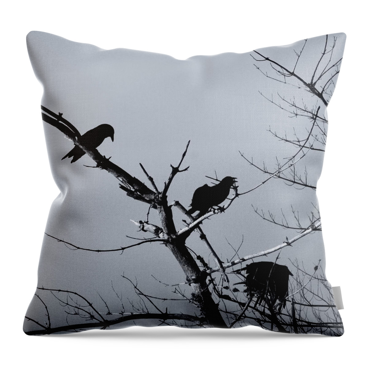 Ravens Throw Pillow featuring the photograph The Raven Tree by Sue Capuano