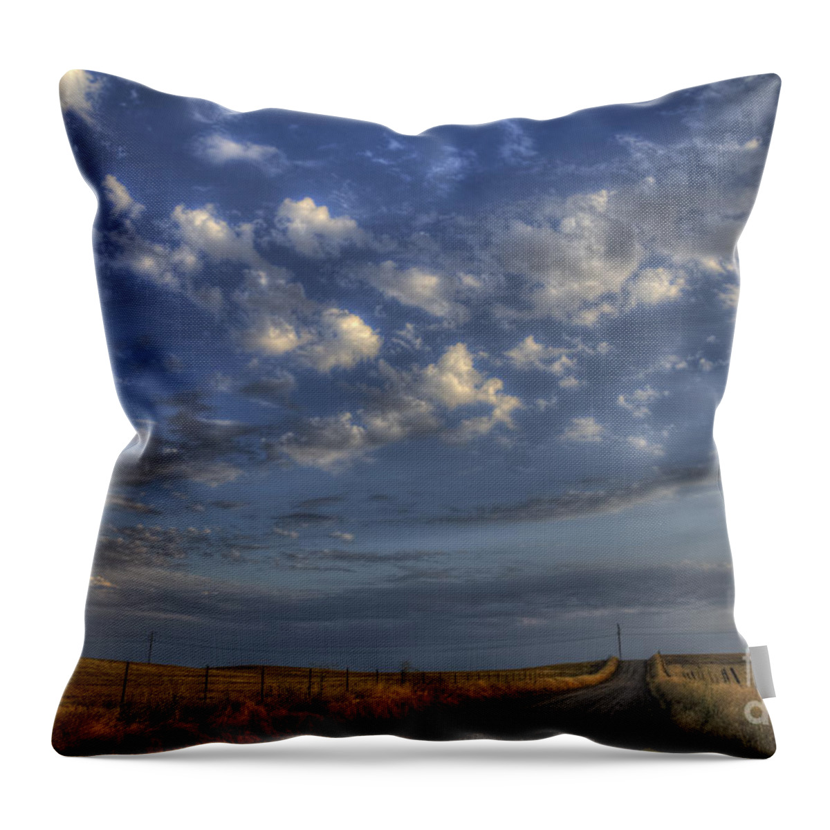 Road Throw Pillow featuring the photograph The Road to Nowhere by Jim And Emily Bush