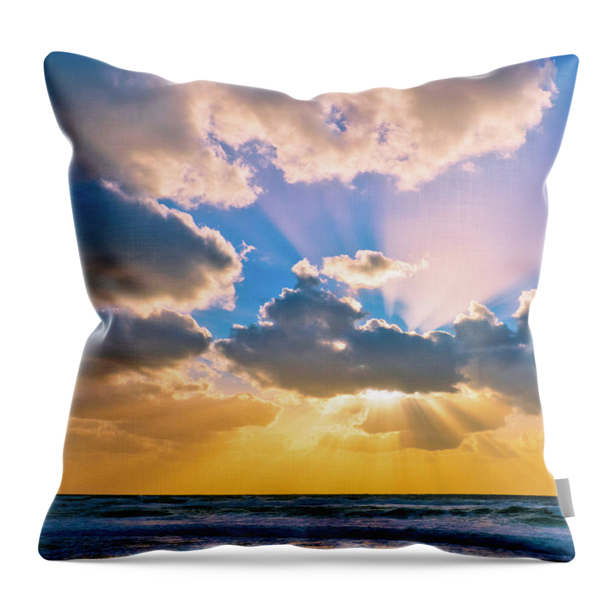Bird Throw Pillow featuring the photograph The sea in the sunset by Michael Goyberg