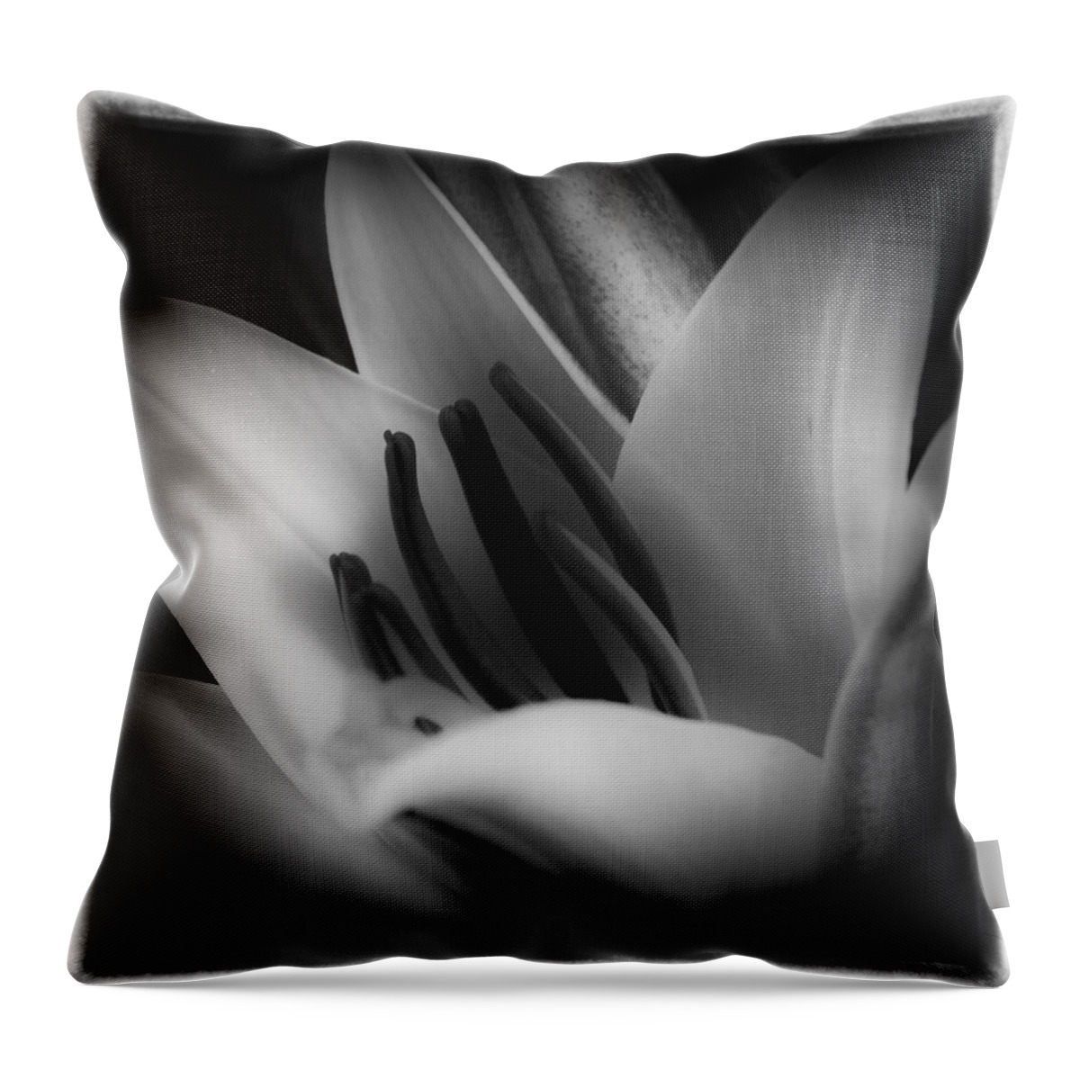 Lily Throw Pillow featuring the photograph The Softest Lily by David Patterson