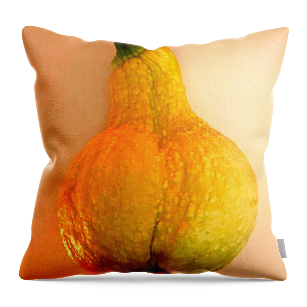 Nature Throw Pillow featuring the photograph The Squash Dorcas Brought to Dinner by Sean Griffin