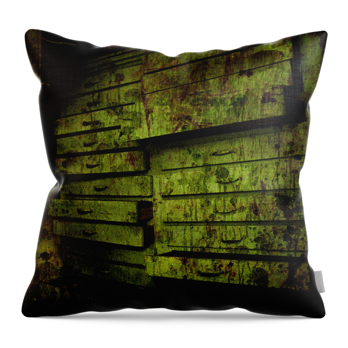 File Throw Pillow featuring the photograph The System by Jessica Brawley