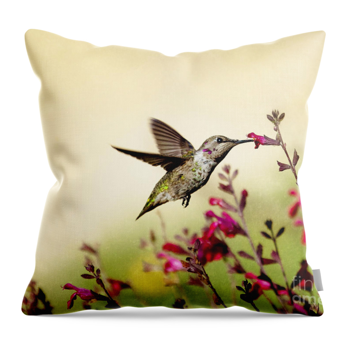 Humming Bird Throw Pillow featuring the photograph The Tempest Hummingbird by Susan Gary