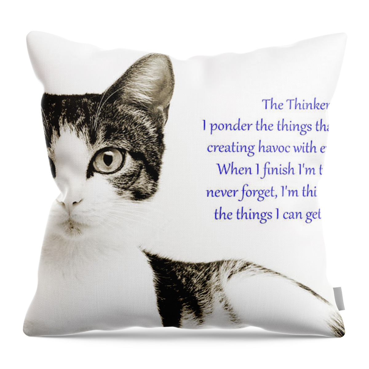 Fine Art Cat Throw Pillow featuring the photograph The Thinker Blue by Andee Design